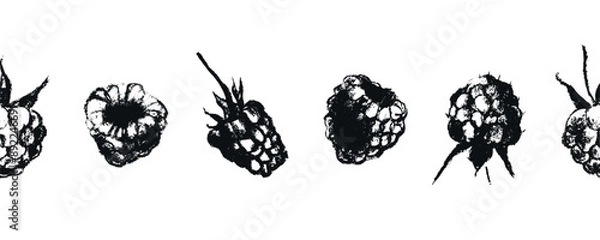 Fototapeta Scotch tape with blackberry pattern. Vector drawing of blackberries in style of hand drawn graphics. Dry pastel mulberry illustrations. Fruit ribbon with seamless pattern of purple berries.