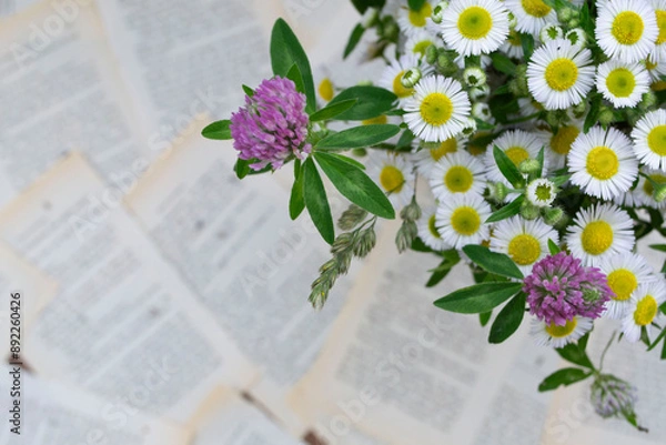 Obraz book with flower