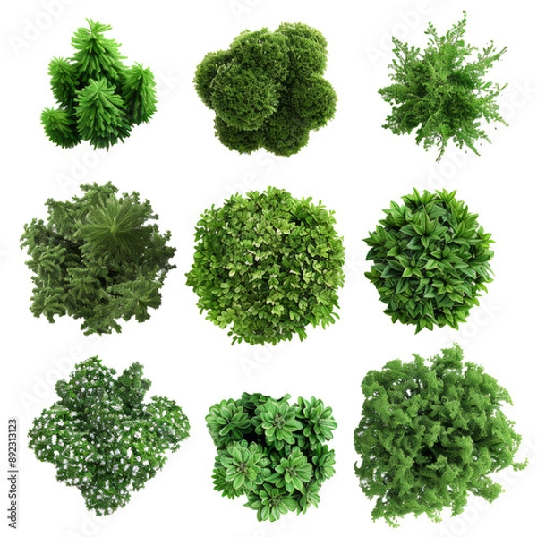 Fototapeta botanical illustrations green garden bushes with different textures, against a white background.