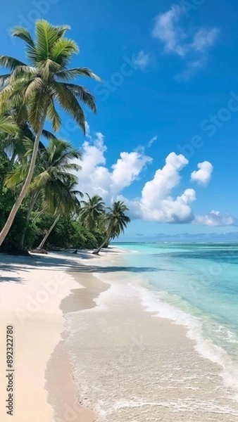 Obraz beach with palm trees