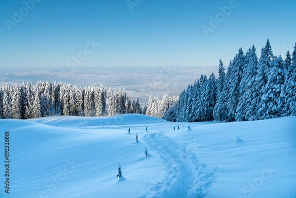 Obraz path through snowy landscape