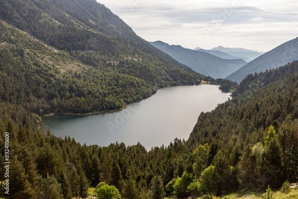 Fototapeta Elevated view of a pond with forest around
