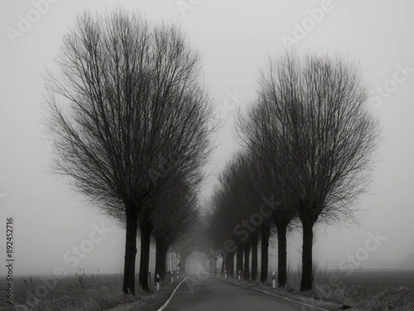 Obraz Düstere Allee