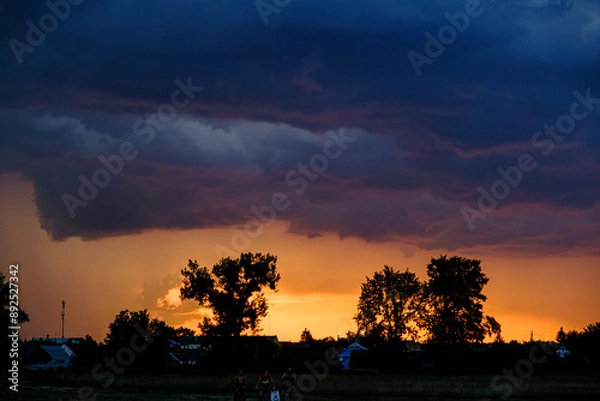 Obraz sunset over the forest