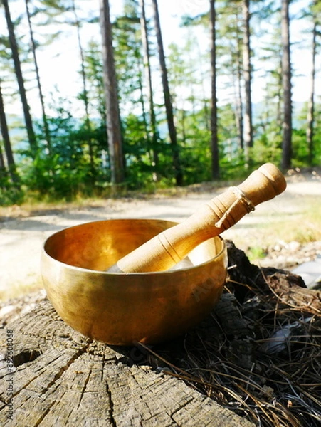 Obraz Singing bowl on a cut tree trunk, with the forest in the background