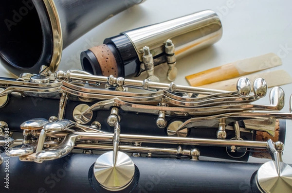Fototapeta French system clarinet disassembled and two reeds on a light background