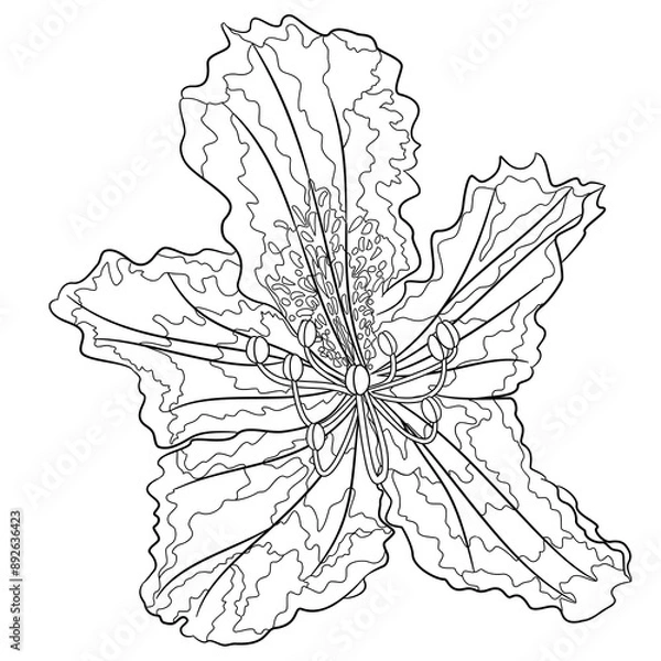 Obraz Flower rhododendron mountain shrub  outline on a white background  vintage bloom twelve vector illustration editable hand draw