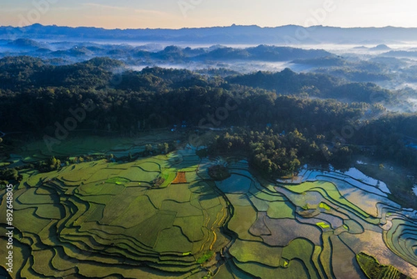 Fototapeta Aerial view of padi fields overlooking cloud inversion at Sunrise, in Sumba, Indonesia