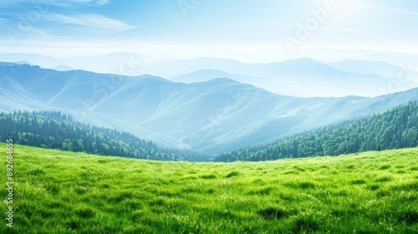 Fototapeta A green valley in summer, with lush trees, green trees and clear blue skies creating a tranquil environment.