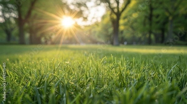 Fototapeta Peaceful green park with vibrant grass and sunlight filtering through trees, creating a serene and refreshing nature scene.