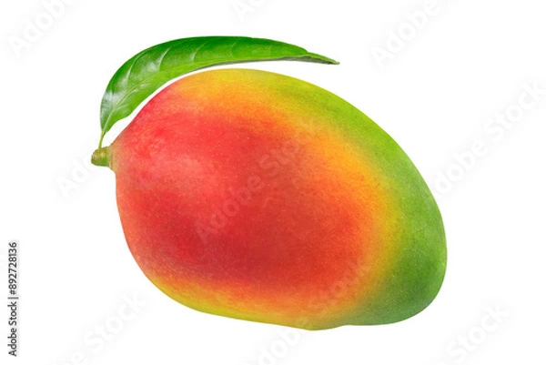 Fototapeta Mango on isolated white background