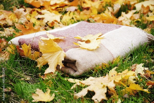 Obraz autumn leaves on the grass
