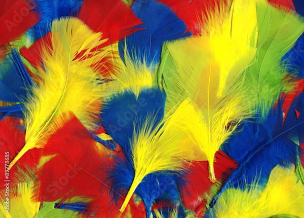 Fototapeta Multi coloured fluffy and soft bird feathers abstract background