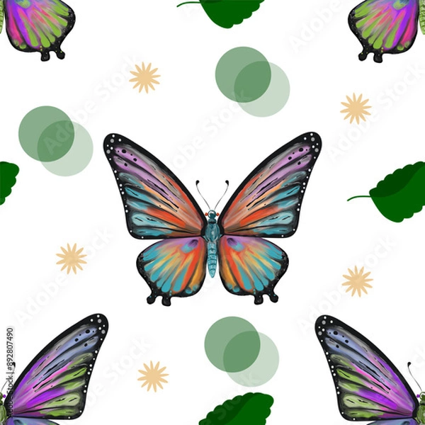 Obraz Colored butterfly on isolated background. Seamless pattern