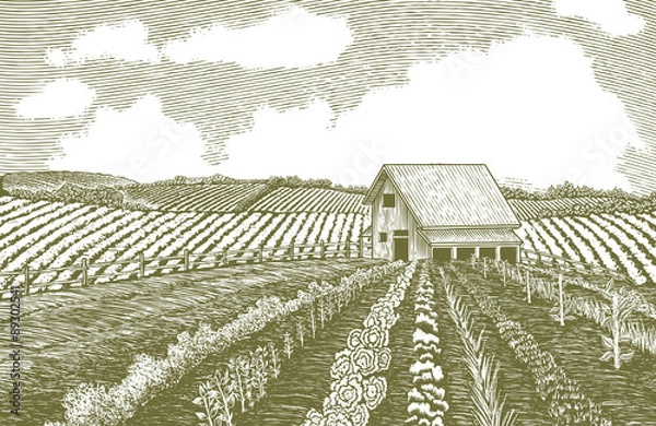 Obraz Woodcut Garden