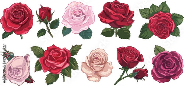 Fototapeta set of rose flower illustrations in color style isolated on white