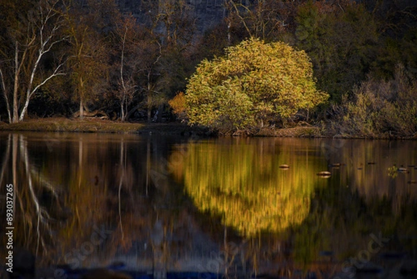 Obraz Autumn Tree Relfection
