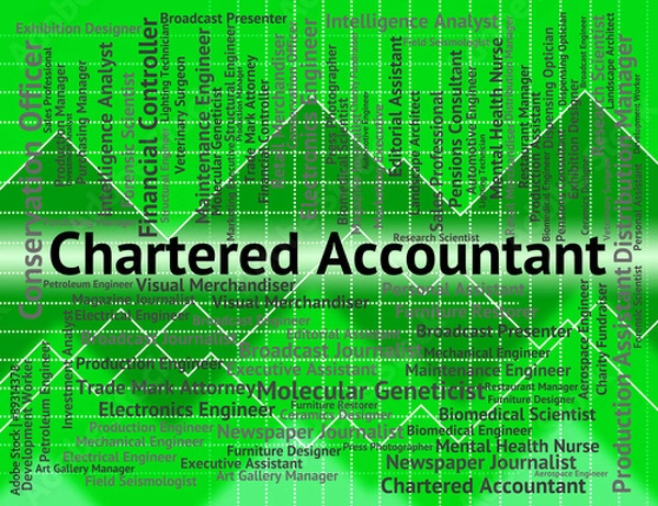 Fototapeta Chartered Accountant Indicates Balancing The Books And Licensed