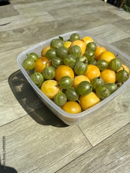 Obraz świeże owoce