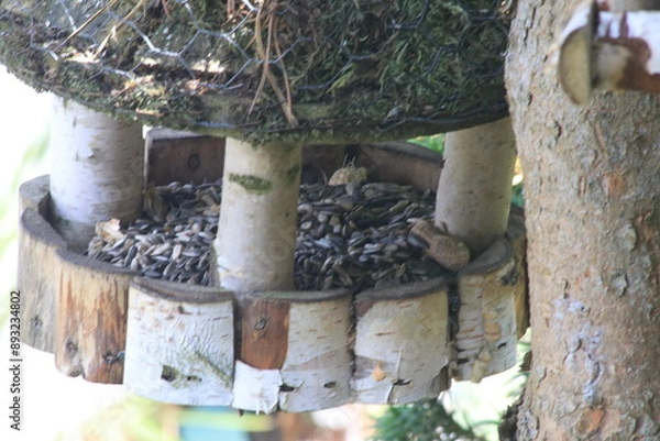 Fototapeta Futterhaus 