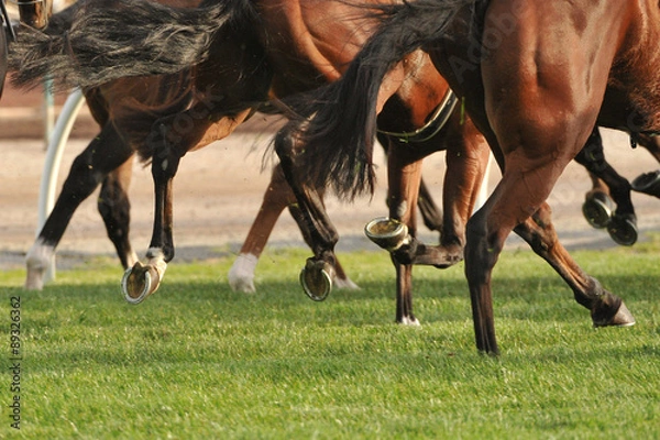 Obraz Horse racing action