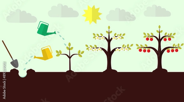 Obraz Planting apple trees flat vector