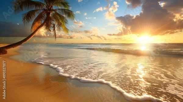 Fototapeta Tropical sunset over ocean with a leaning palm tree