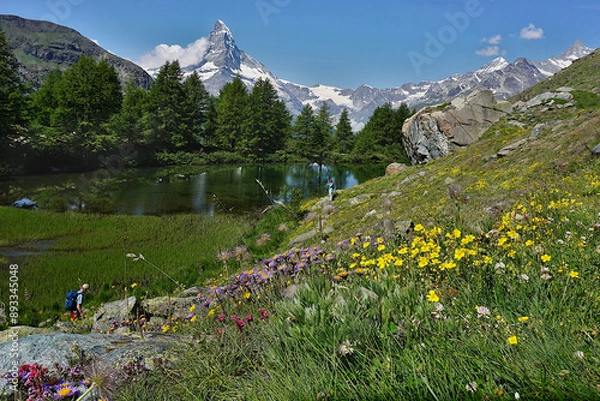 Obraz fleurs de montagne