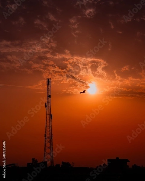 Obraz beautiful sunset with trees, clouds and tower