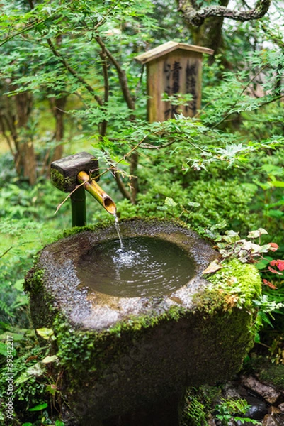 Fototapeta 京都　三千院　清浄水