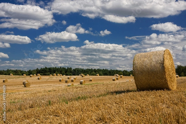 Obraz Strohballenfeld