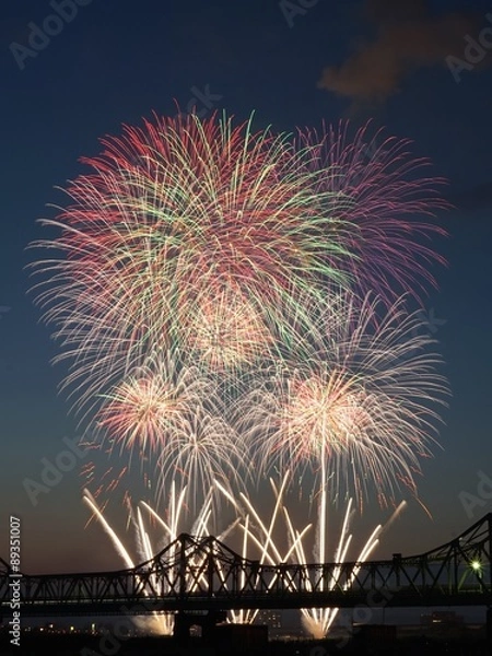 Fototapeta 長岡花火大会　/　スターマイン　