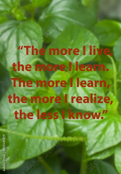 Fototapeta motivational quotes from great people that will give you the impetus to be a good person. quote in the form of a poster	