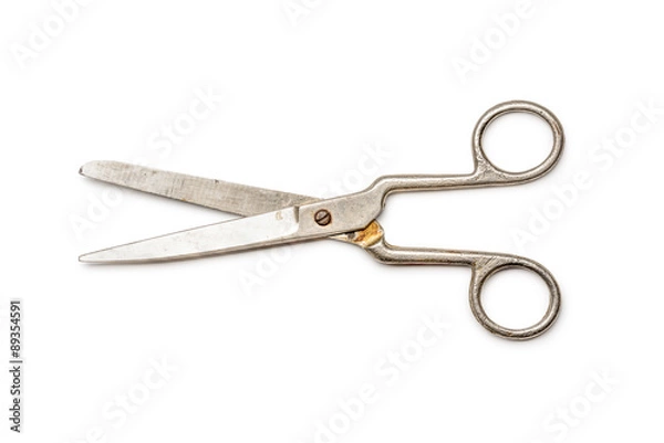 Obraz Old Scissors