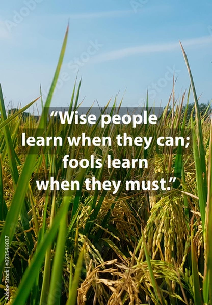 Fototapeta motivational quotes from great people that will give you the impetus to be a good person. quote in the form of a poster	