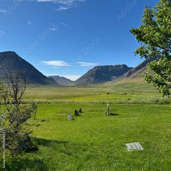 Obraz Iceland secluded valley