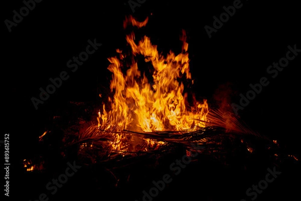 Obraz Night Fire Illuminates the Wild
