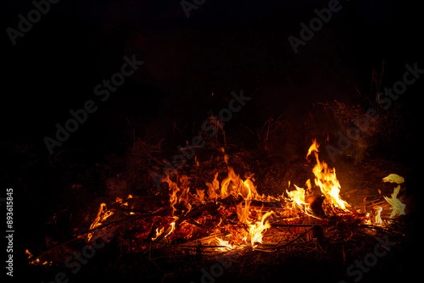 Obraz Night Fire Illuminates the Wild