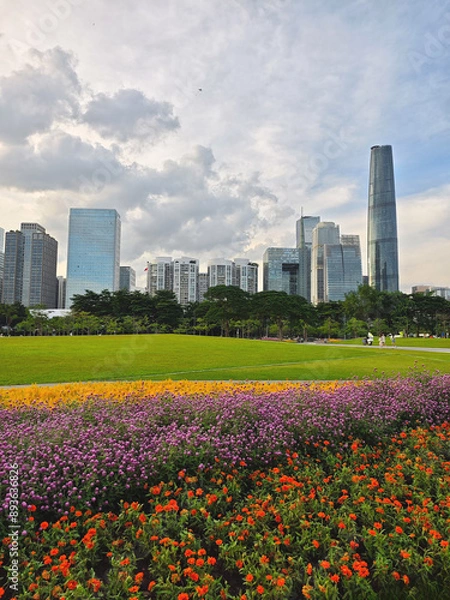 Fototapeta Flowers with modern building in Guangzhou China.