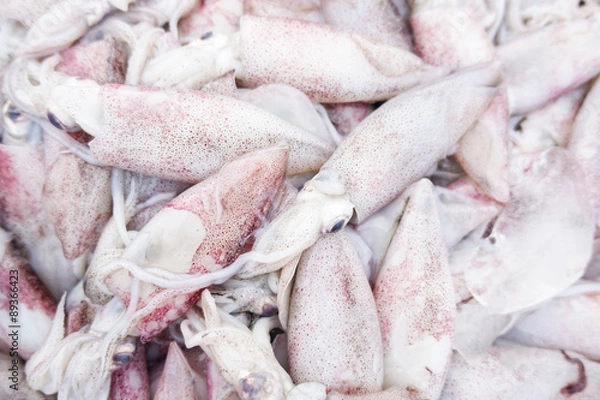 Obraz Octopus in market