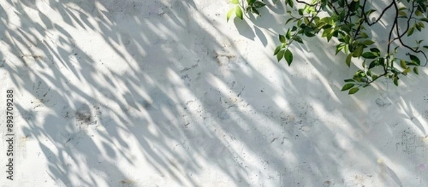 Obraz Natural leaves and tree branches create abstract background with sunlight shadows on a white concrete wall, ideal for any design with copy space image.