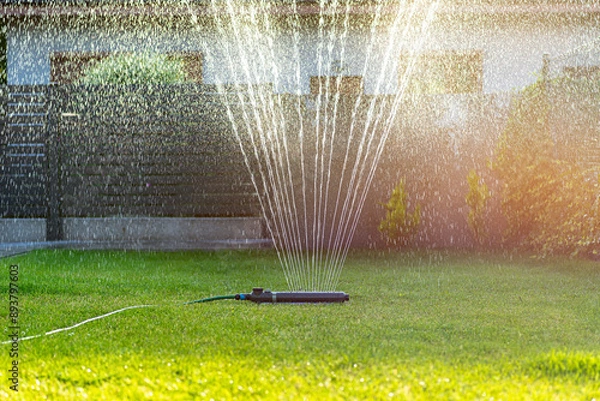 Obraz Grass swing sprinkler watering the lawn in the backyard of a house.