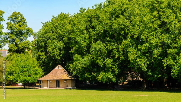 Obraz house in the woods