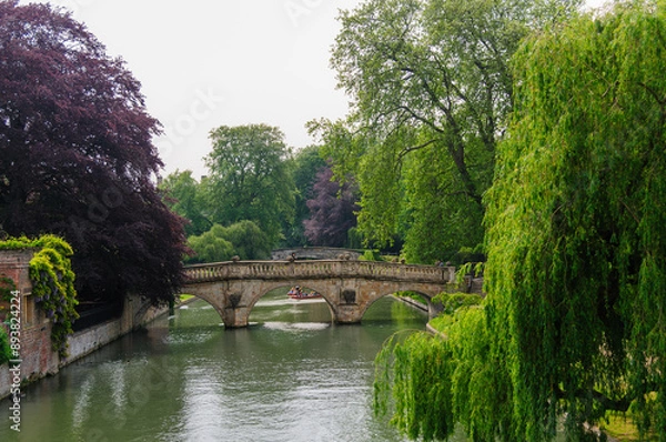Obraz the river in the park