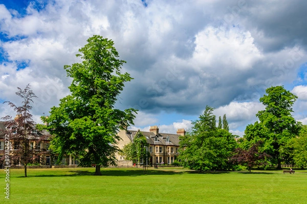 Obraz house in the park