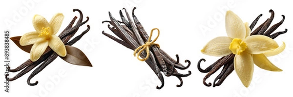 Fototapeta vanilla beans isolated on transparent background
