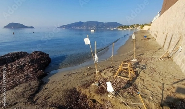 Obraz Loggerhead sea turtle (caretta caretta) nest protection on beach in Zakynthos Greece