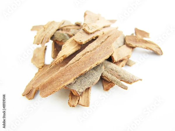 Obraz Cinnamon sticks