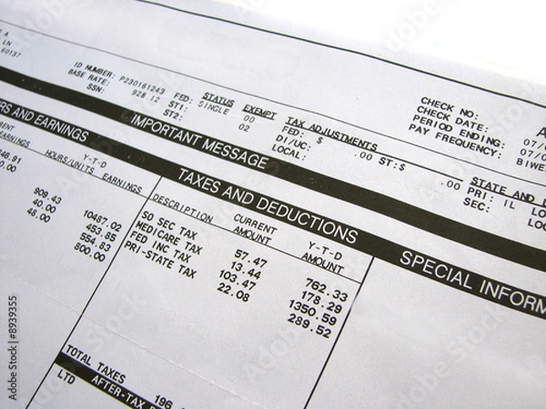 Obraz Pay Stub