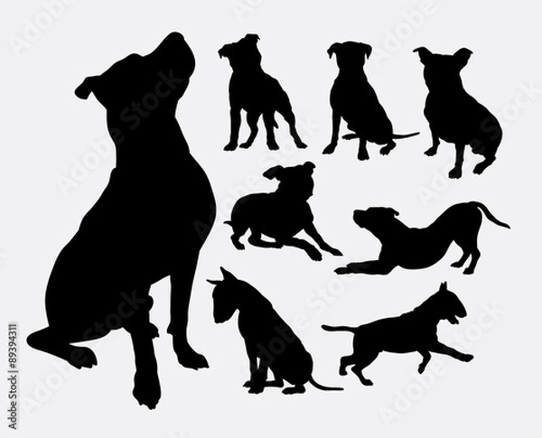 Fototapeta Pitbull, buldog, terier, sylwetki psów